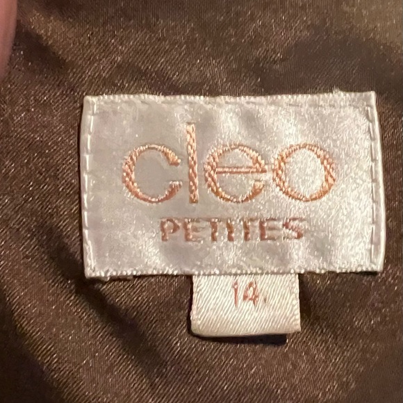 ⭐️♥️Cleo Brown Dress - Picture 3 of 4